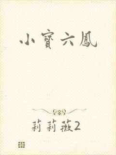 小宝六凤
