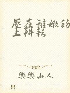 压在稚嫩的身体上耕耘