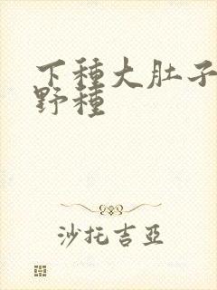 下种大肚子怀孕野种