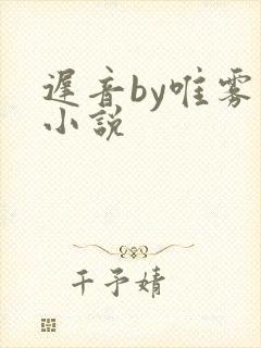 迟音by唯雾的小说封面