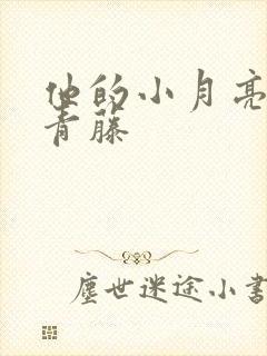 他的小月亮by青藤封面