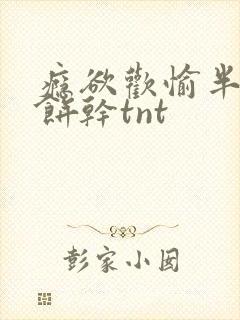 瘾欲欢愉半块小饼干tnt