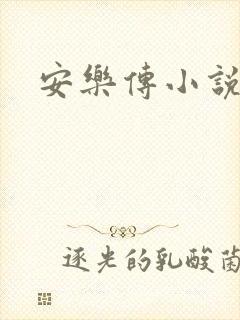 安乐传小说