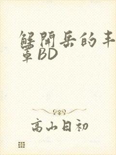 解开岳的丰满奶罩BD封面