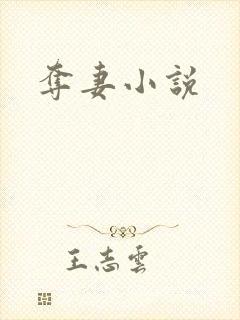 夺妻小说