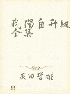 我独自升级漫画全集封面