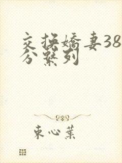 交换娇妻38部分系列