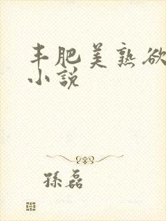 丰肥美熟欲妇乱小说封面