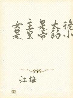 女主是太后男主是皇帝的小说