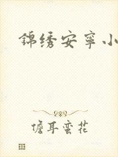 锦绣安宁小说封面