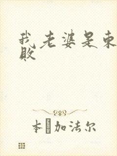 我老婆是东方不败