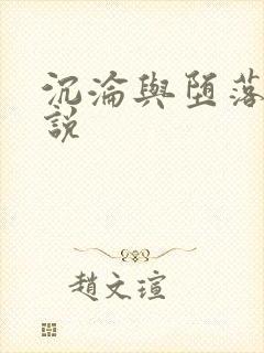 沉沦与堕落的小说封面