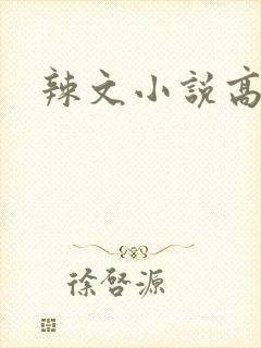 辣文小说高h