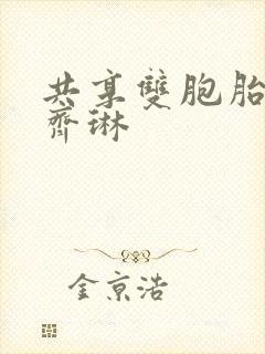 共享双胞胎齐娜齐琳封面