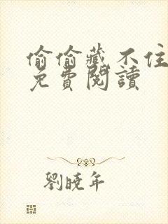 偷偷藏不住小说免费阅读