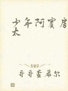 少年阿宾房东太太