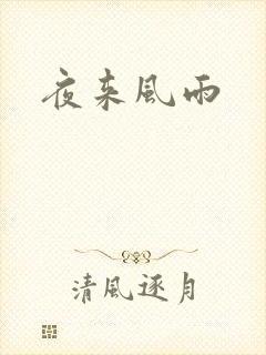 夜来风雨封面