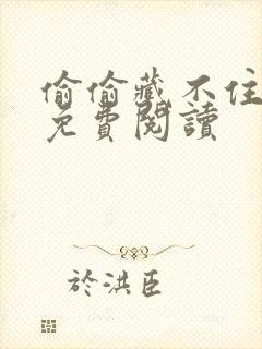 偷偷藏不住小说免费阅读封面