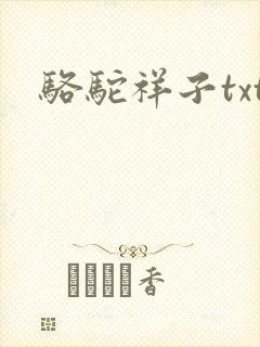 骆驼祥子txt封面