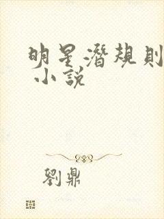 明星潜规则之皇 小说