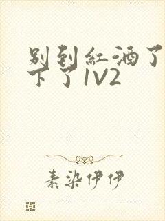 别到红酒了装不下了1V2