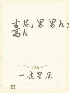 古风男男h文肉高h