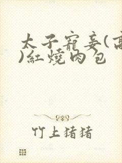 太子宠妾(高肉)红烧肉包