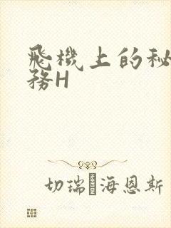 飞机上的秘密服务H