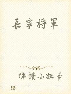 长宁将军封面