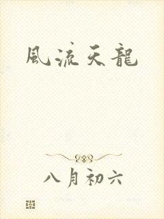 风流天龙封面