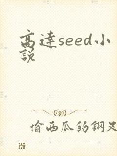 高达seed小说