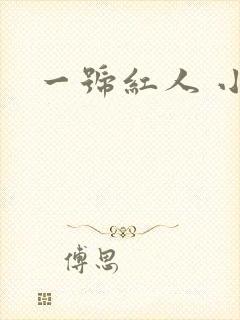 一号红人 小说