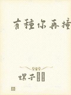 有种你再撞一下