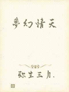 梦幻情天封面