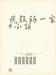疯狂的一家ps4小说