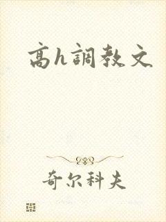 高h调教文