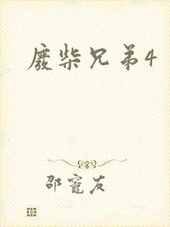 废柴兄弟4封面
