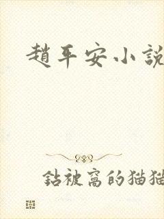 赵平安小说主角