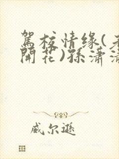 驾校情缘(老树开花)孙潇潇笔趣阁