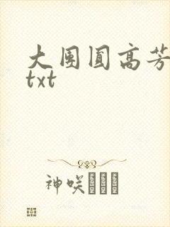 大团圆高芳小说txt