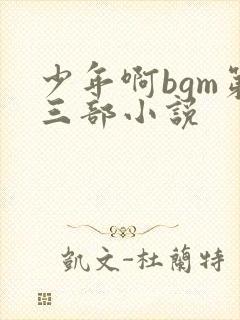 少年啊bgm第三部小说封面