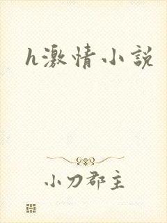 h激情小说