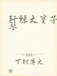 轩辕大宝芳菲雅琴封面