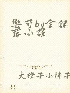 乐可by金银花露小说