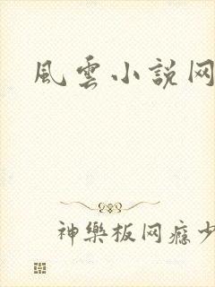 风云小说网