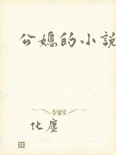 公媳的小说