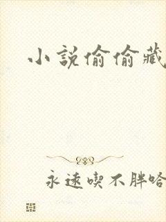 小说偷偷藏不住