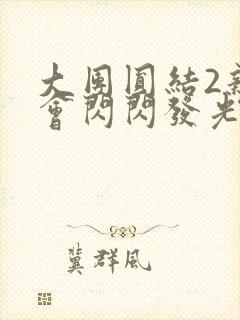 大团圆结2亲情会闪闪发光亲情会2