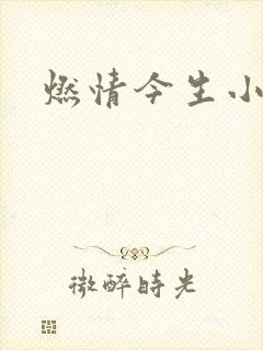 燃情今生小说