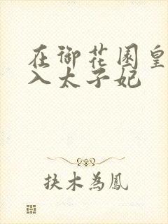 在御花园皇上进入太子妃封面